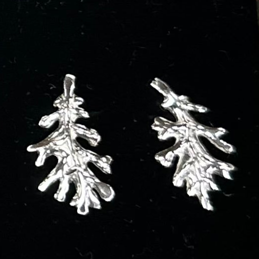 Set of silver oak leaf earrings in black display case