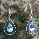 Dendritic Opal in Sterling Silver Wrap Earrings