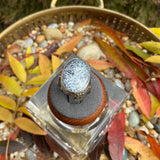 Frost & Spruce Dendritic Opal Ring